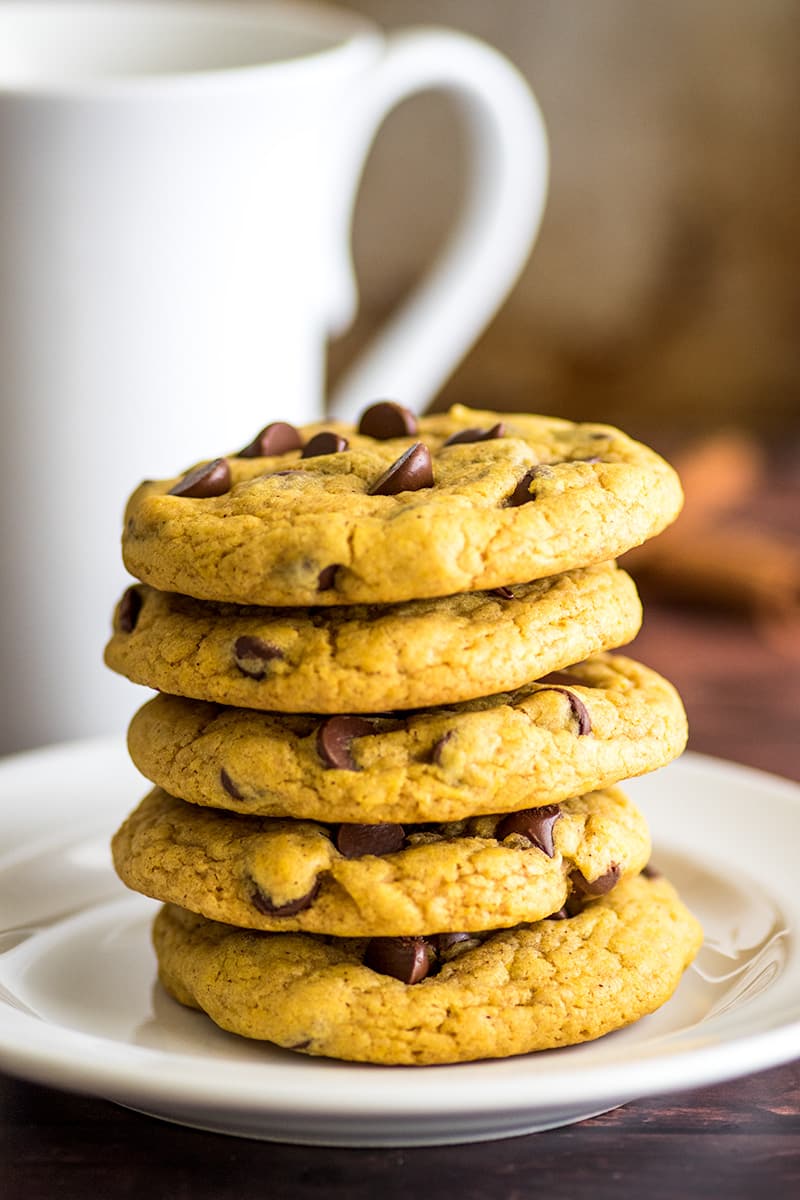 Minute Small Batch Pumpkin Chocolate Chip Cookies for Fall